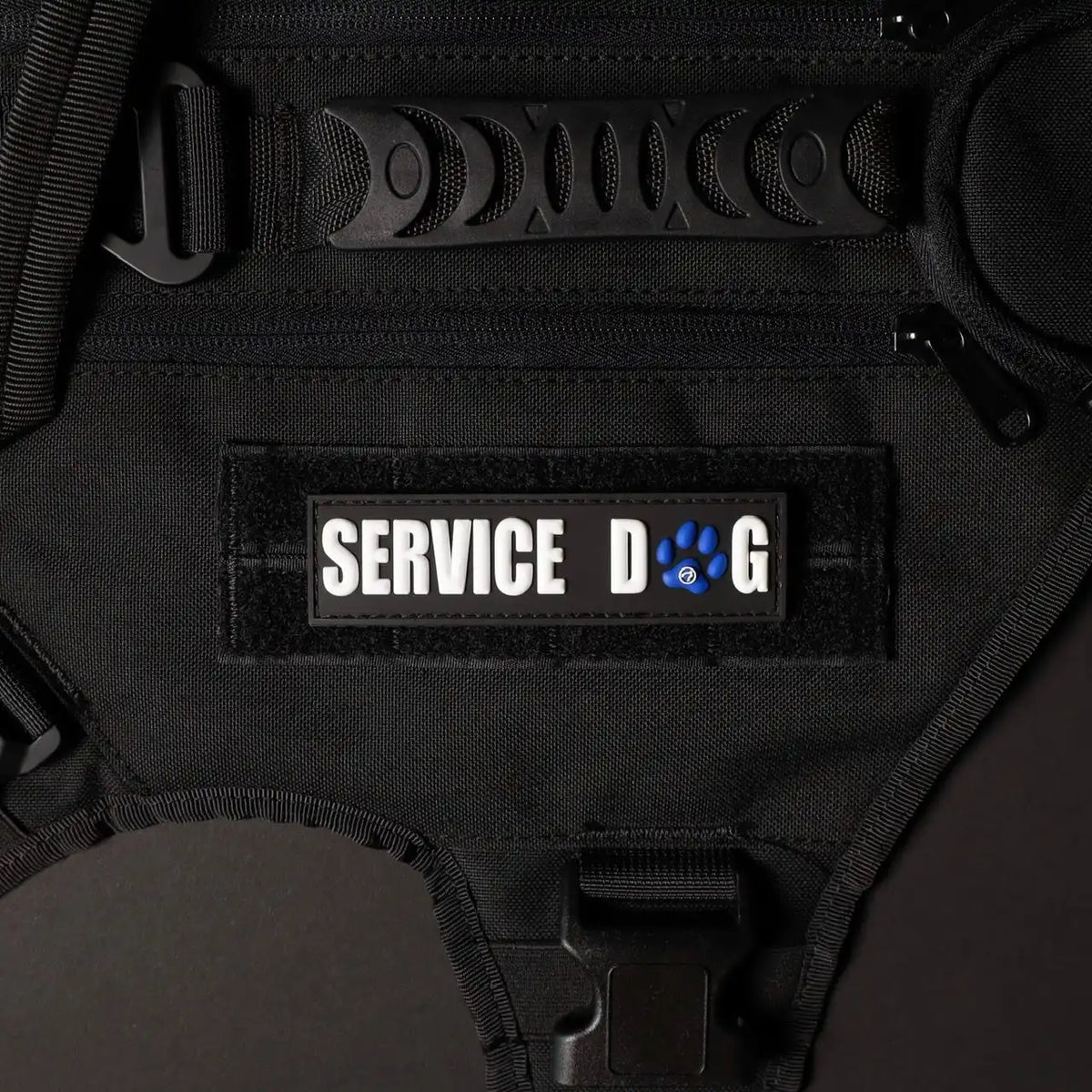 Service Dog w/ Blue Paw