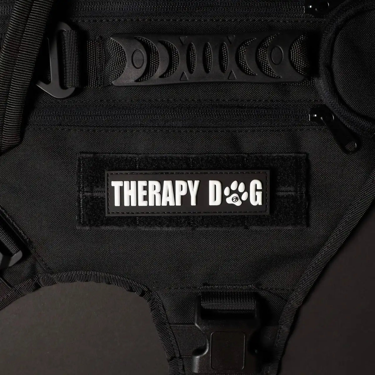 Therapy Dog
