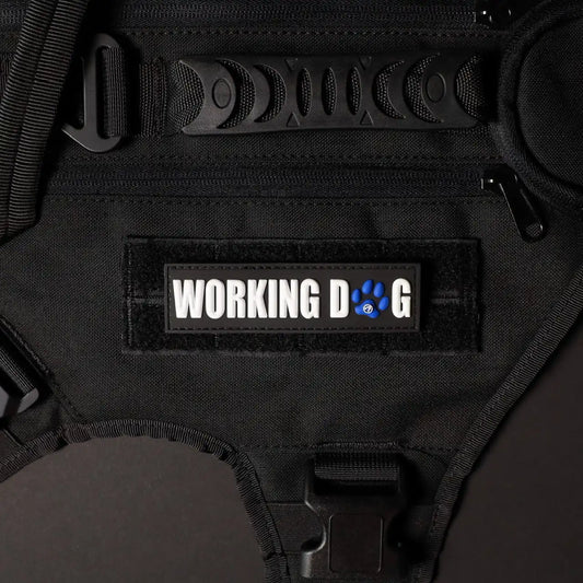 Working Dog w/ Blue Paw