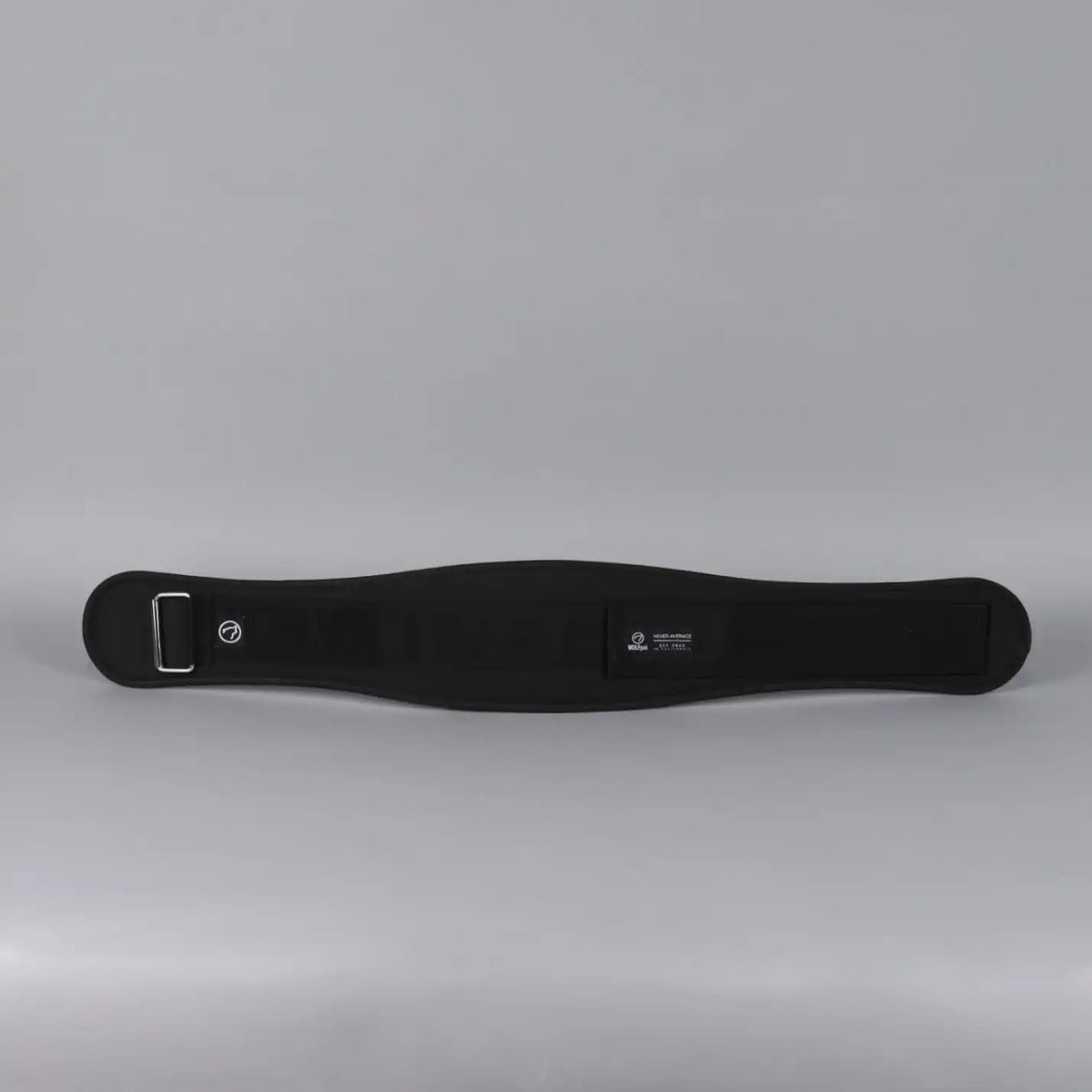 Lifting Belt
