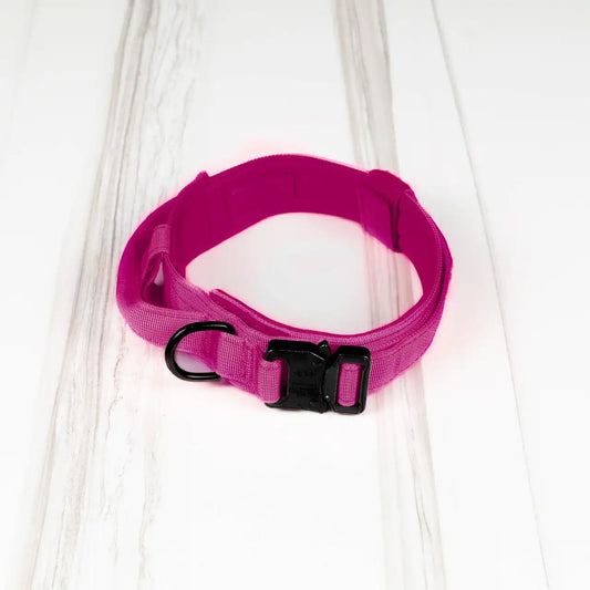 Tactical Dog Collar Pink Goddess