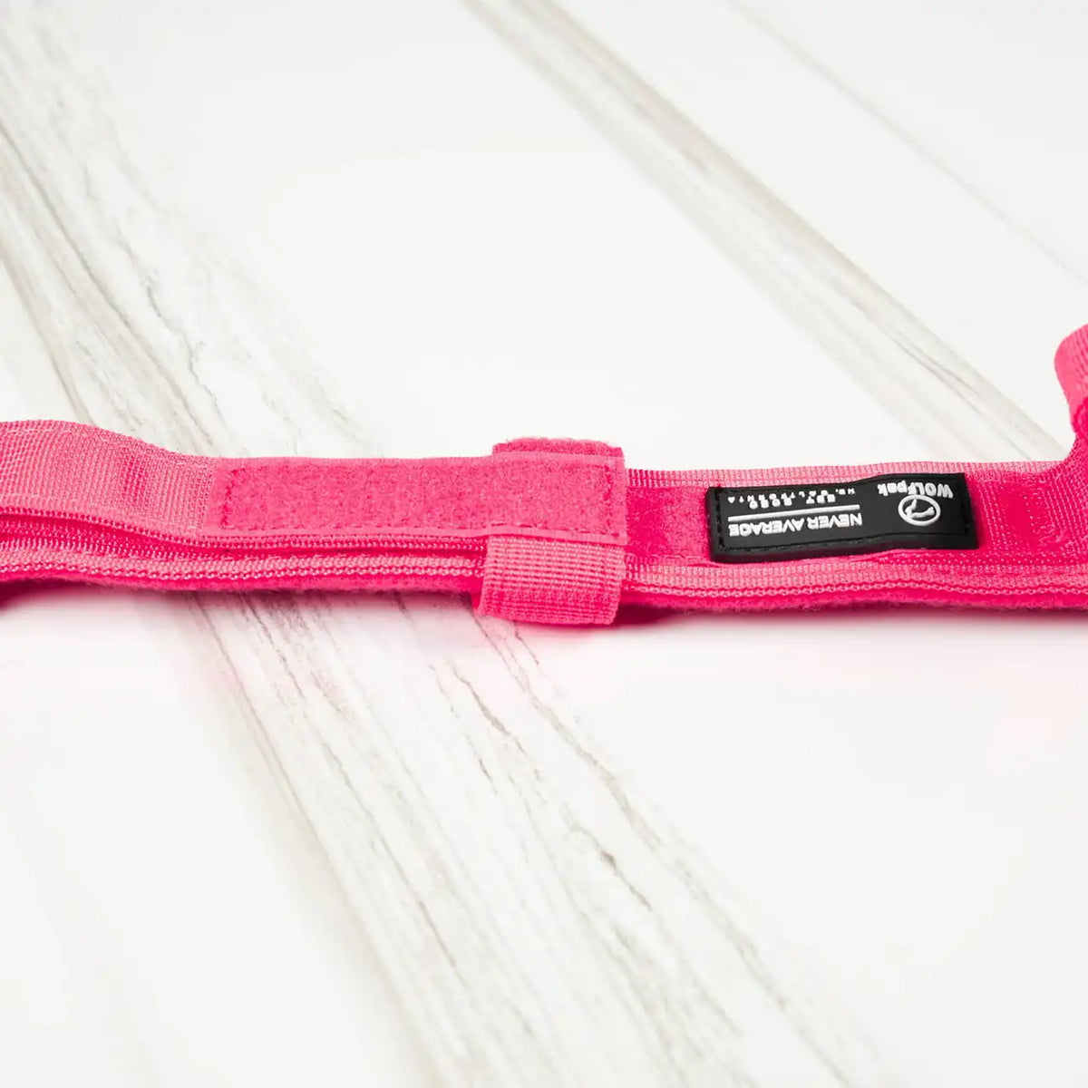 Tactical Dog Collar Neon Pink