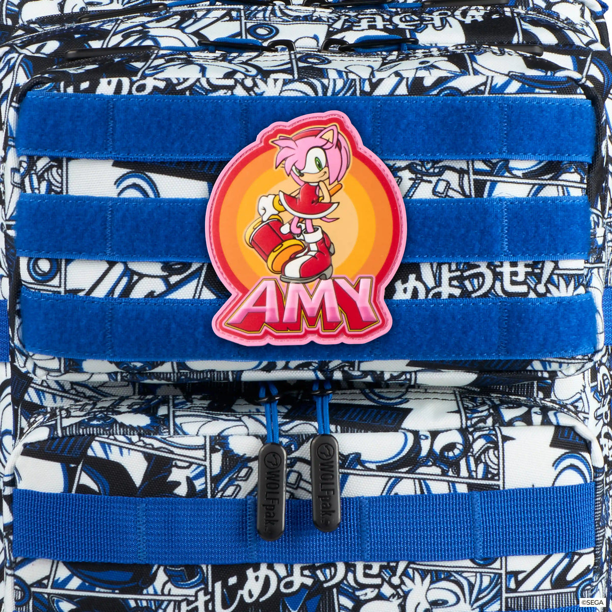 Sonic The Hedgehog Amy Patch