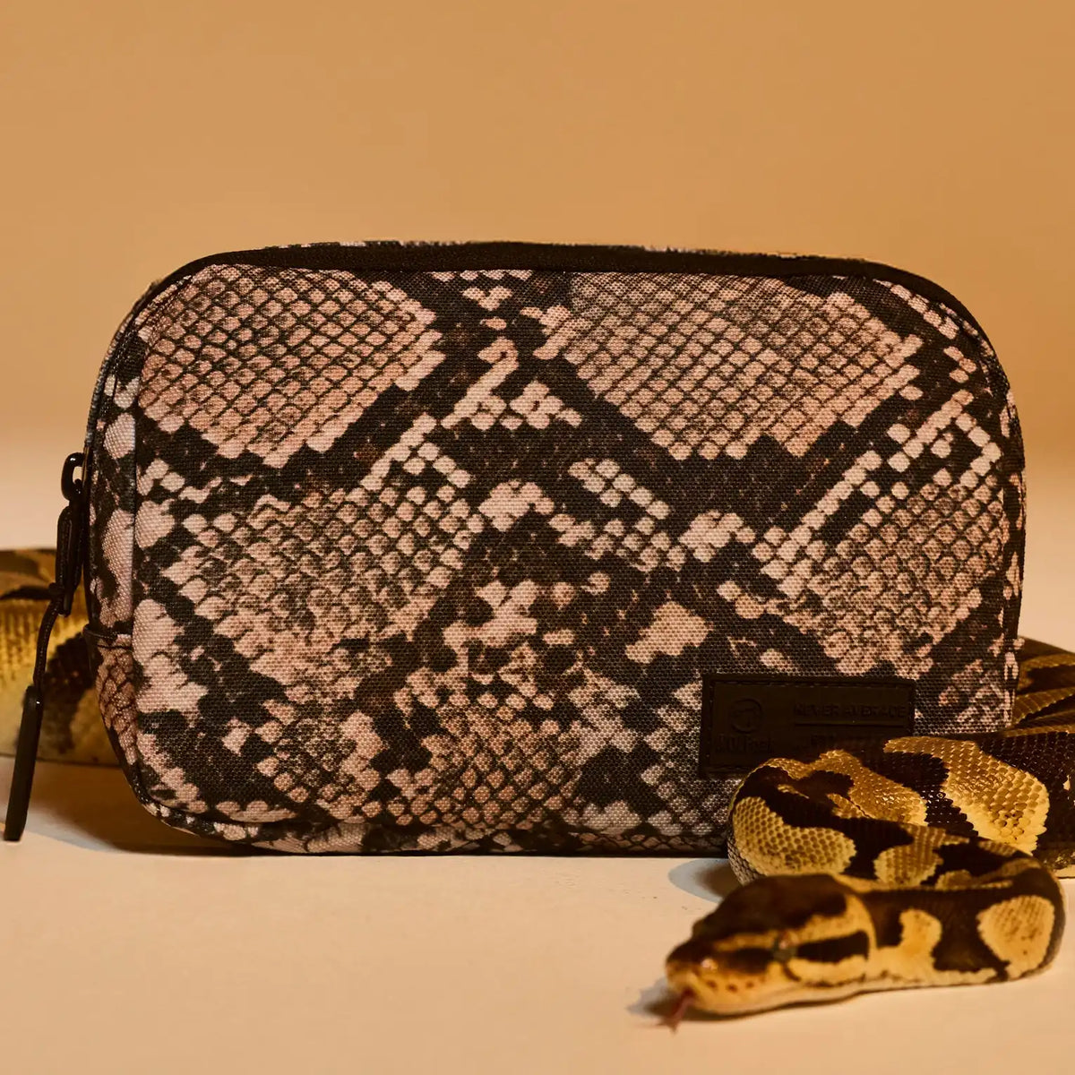 Crossbody Pack Python