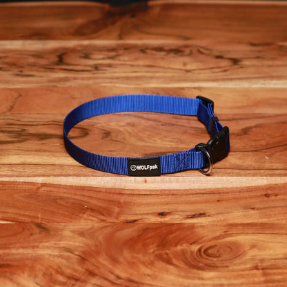 Adjustable Nylon Dog Collar Champion Blue