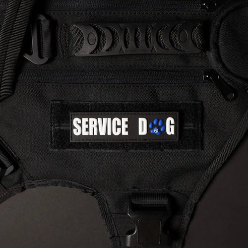 Service Dog w/ Blue Paw