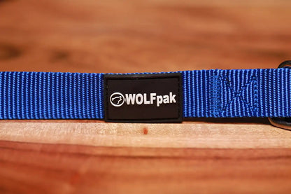 Adjustable Nylon Dog Collar Champion Blue