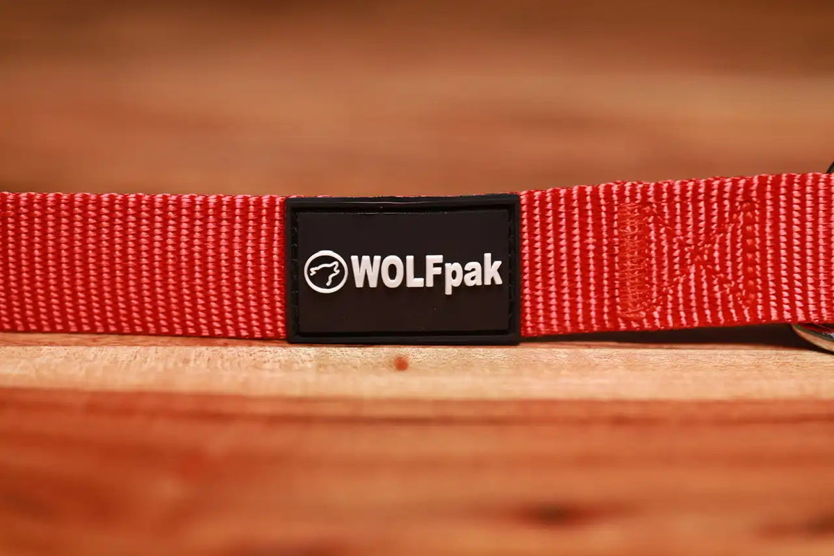 Adjustable Nylon Dog Collar Savage Red