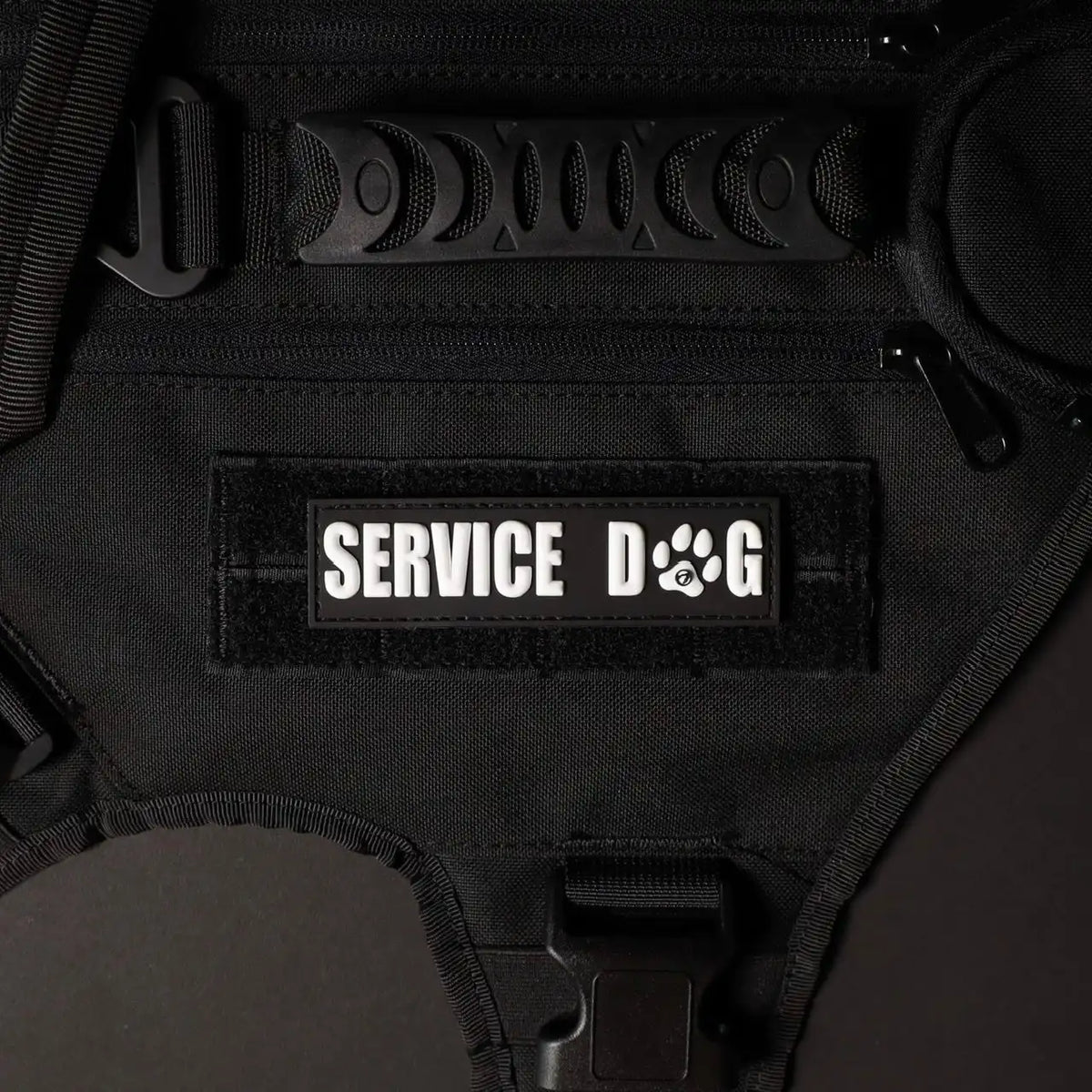 Service Dog White Paw