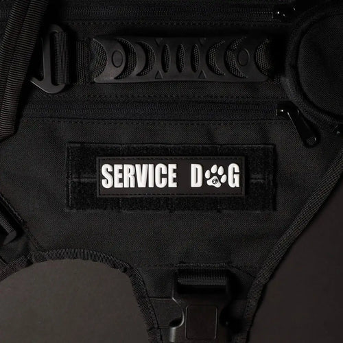 Service Dog White Paw