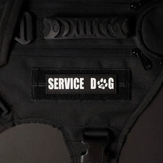 Service Dog White Paw