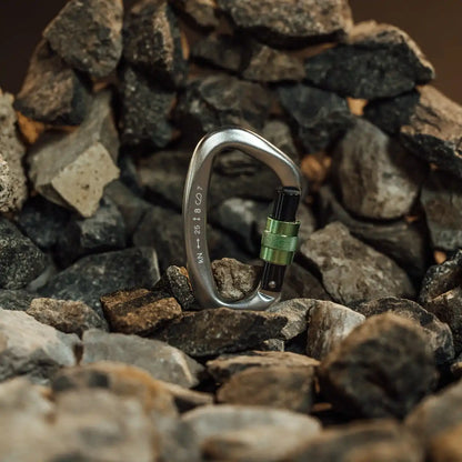 Accessory Carabiner Silver & Green