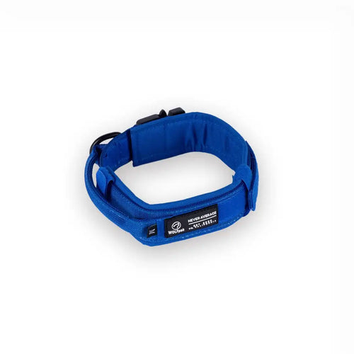 Tactical Dog Collar Blue