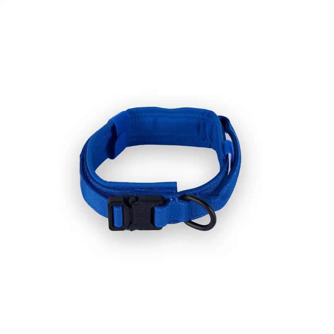 Tactical Dog Collar Blue