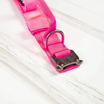 Tactical Dog Collar Neon Pink