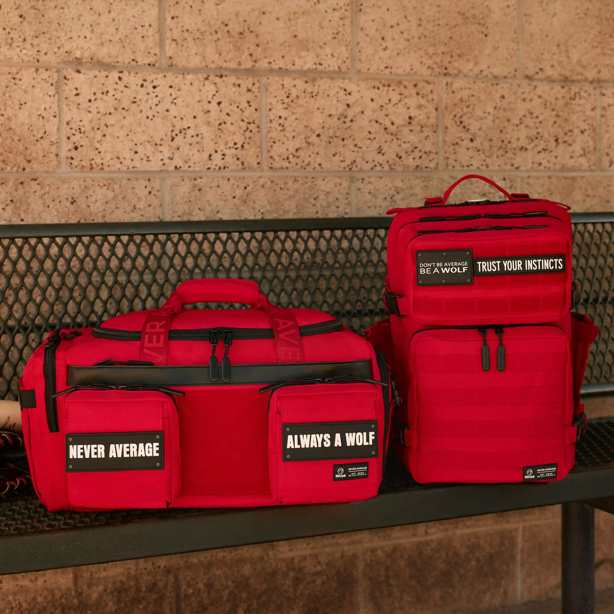 All-Star Bundle