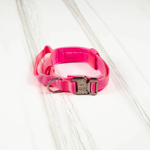 Tactical Dog Collar Neon Pink