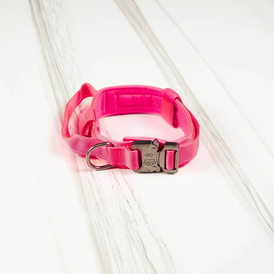 Tactical Dog Collar Neon Pink