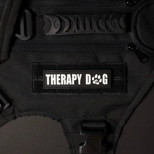 Therapy Dog