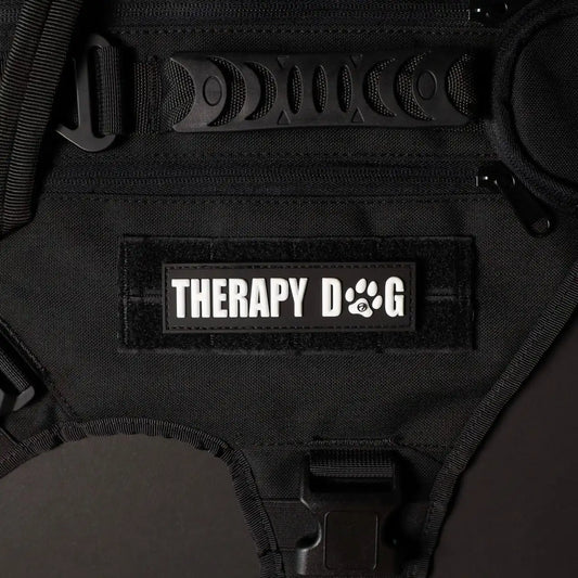 Therapy Dog
