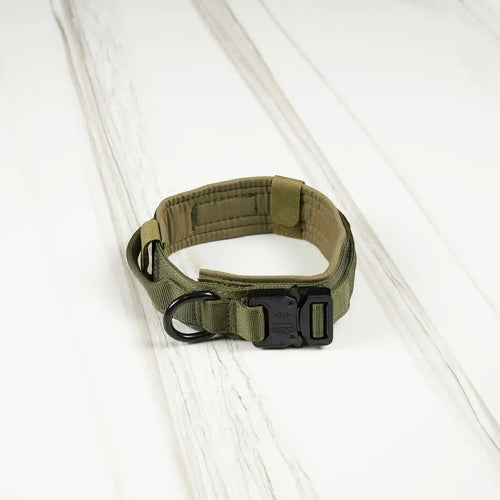 Tactical Dog Collar Green
