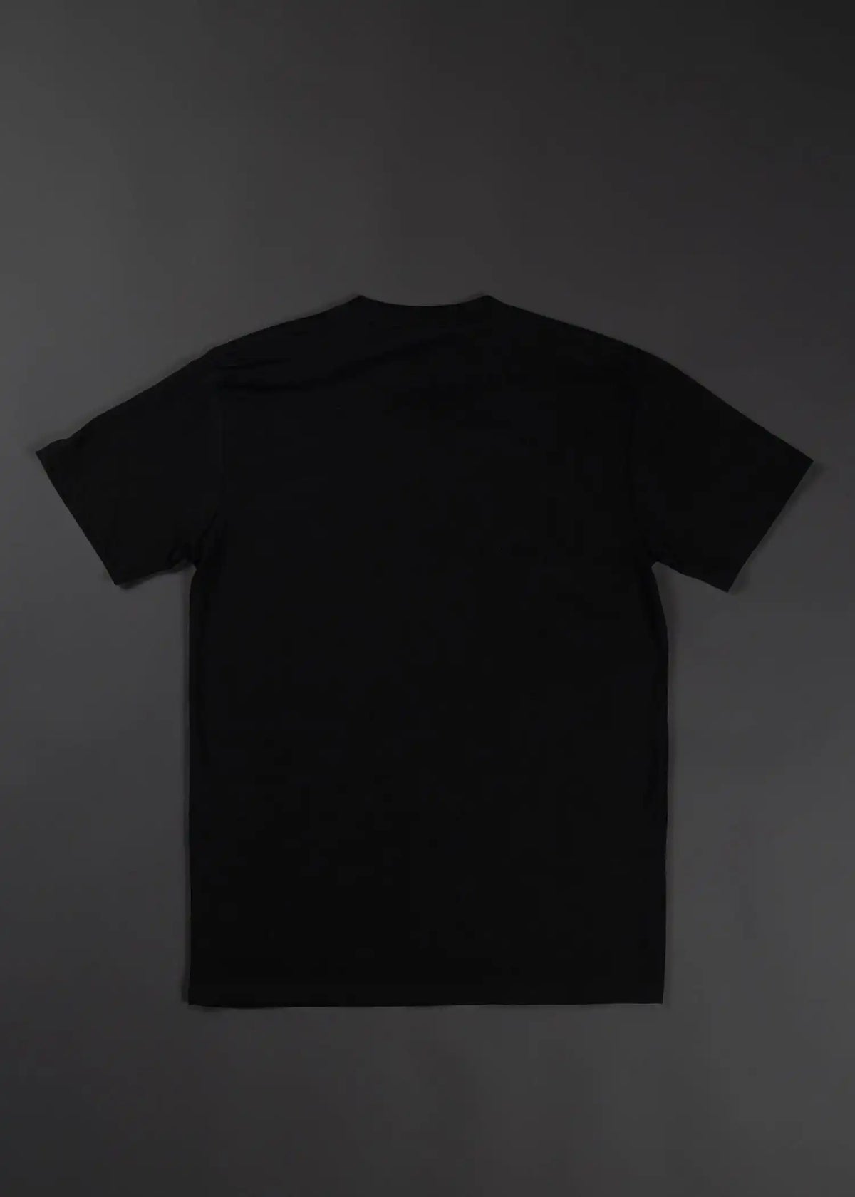 Apocalypse From The Ashes Graphic T-Shirt Sale