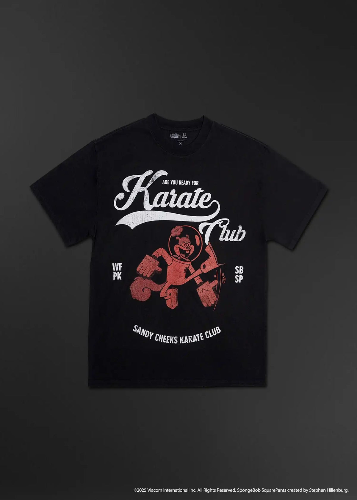 SpongeBob Karate Club Graphic T-Shirt Sale